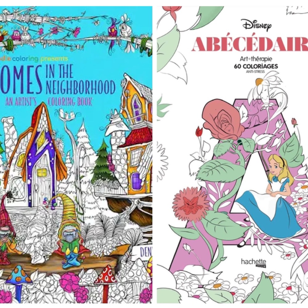 Hachette Heroes Disney coloring book & Gnomes in the Neighborhood Denyse Klette